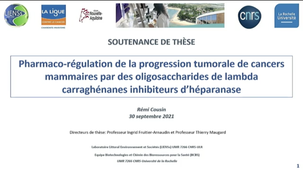 Thèse de Rémi COUSIN