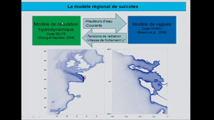 Analyse des processus physiques contrôlant la surcote et la submersion marine associées à la tempête Xynthia