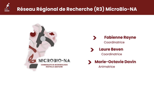 MicroBio-NA : un réseau R3 de Microbiologie en Nouvelle-Aquitaine pour une Santé Unique territoriale