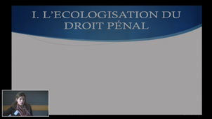 Internormativité et ordres répressifs de l'environnement : quelles perspectives ?