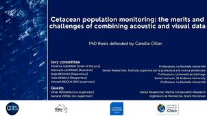 PhD thesis defended by Camille OLLIER