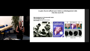 Envisager la détermination du sexe autrement