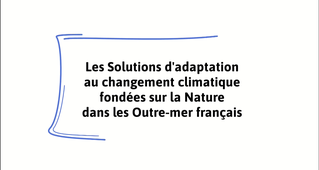 Les Solutions d'adaptation au changement climatique fondées sur la Nature dans les Outre-mer français