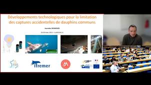 Intégration de Delmoges au sein des projets 