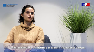 Cap Job -  Laura Clain, Ingénieure d'étude, Institue of Marine Research (Bergen, norvège)