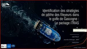 Stratégies de pêche