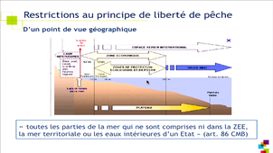 L'exploitation des ressources halieutiques face aux exigences du développement durable.  La  position du droit international