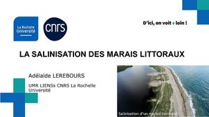 Salinisation des marais