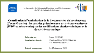 Thèse de Maria EL HAGE