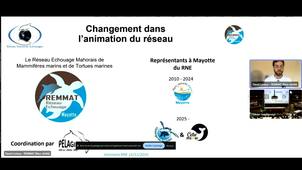 Synthèse des échouages à Mayotte