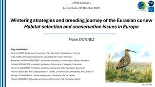 Thèse de Marie DONNEZ