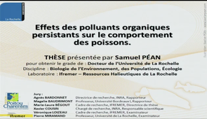 Thèse de Samuel PEAN