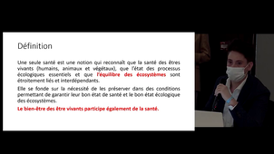 Restitution des travaux par les étudiants juristes des Masters 2 de droit de l’environnement de Strasbourg