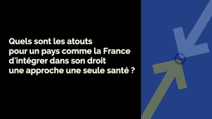 Interviews Etudiants