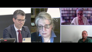 Questions: L’Union européenne et la résilience climatique : défis théoriques et impacts politiques