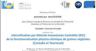 Thèse de Amal ZEAITER