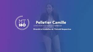 Ma Thèse en 180 secondes - Pelletier Camille