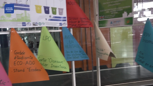 SEDD 2019