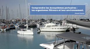 Comprendre les écosystèmes portuaires : les organismes filtreurs et leur environnement