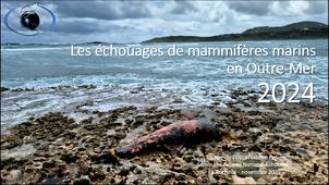 Les échouages de mammifères marins en Outre Mer