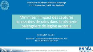 Elasmobranches : impact des captures accessoires de raies dans une pêcherie palangrière.