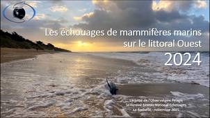 Les échouages sur les côtes françaises en 2024 : Atlantique et Manche