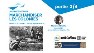 3ème Partie - Les impacts environnementaux de l'organisation des plantations de cacao en Côte d'Ivoire (début XXe siècle)