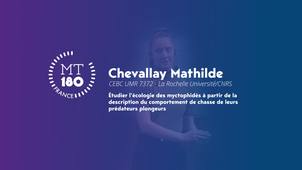 Ma Thèse en 180 secondes - Chevallay Mathilde