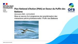 Oiseaux marins : caractérisation des interactions pêche / Puffin des Baléares.