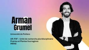 MT180 Arman Grumel