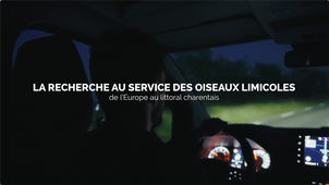 LA RECHERCHE AU SERVICE DES OISEAUX LIMICOLES de l'Europe au littoral charentais