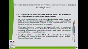 Les risques et enjeux littoraux en Guyane française : contexte hydro-sédimentaire et facteurs anthropiques