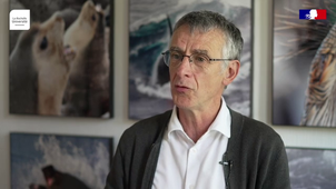 Analyse du mercure (Hg) des éléphants de mer du Sud