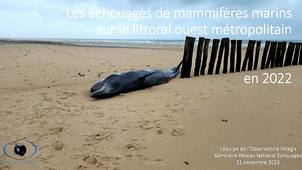 Les échouages sur les côtes françaises en 2022 : Atlantique et Manche.