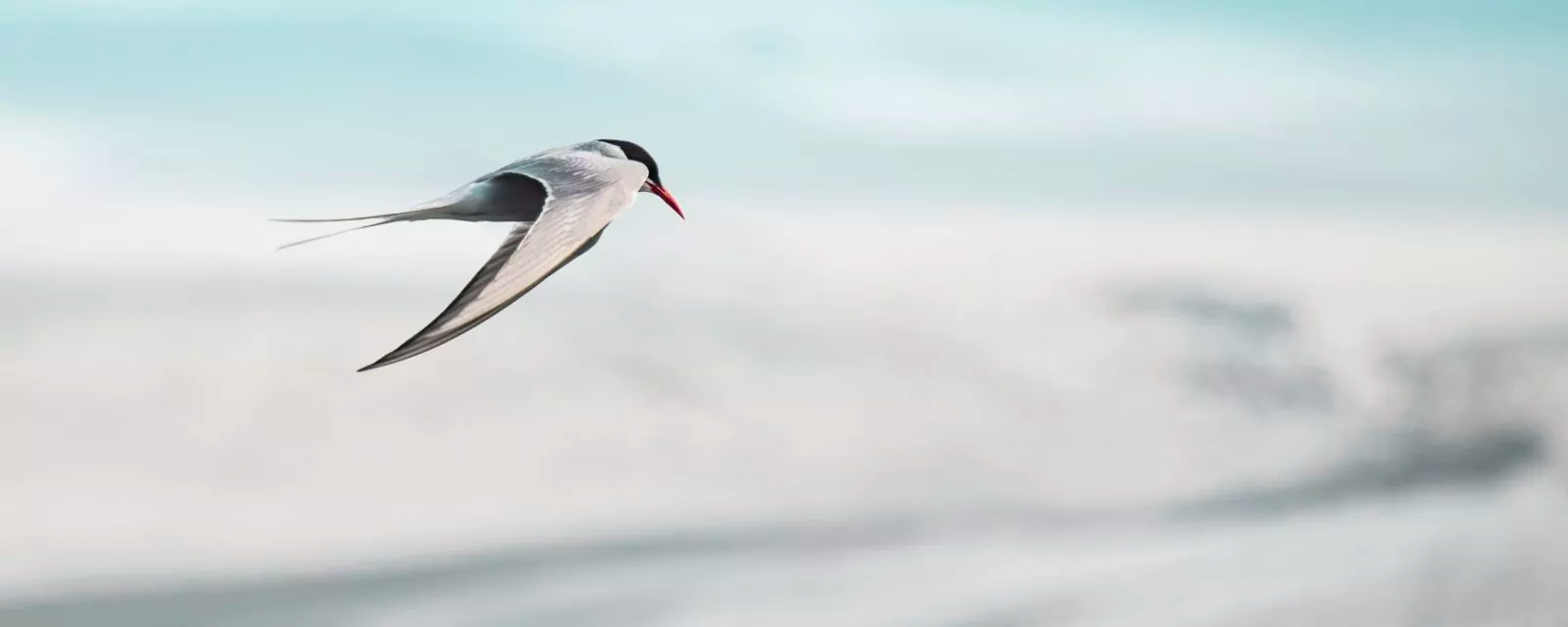 Conférence d’Olivier Poivre d’Arvor : L’océan en surchauffe, les pôles et les glaciers en péril : comment répondre aux défis climatiques ?