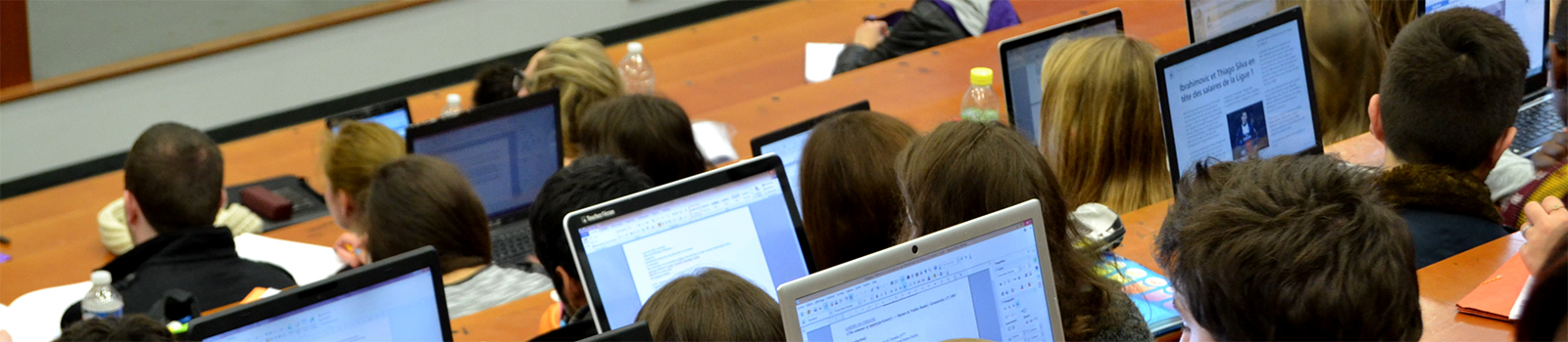 Bannière Sciences Humaines et Sociales