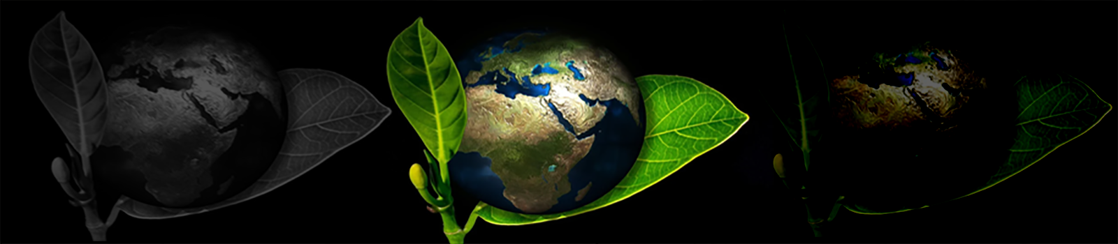 Equité et Environnement  : Quel(s) modèle(s) de justice environnementale ?